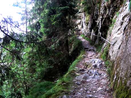 Vogesen Bild 2
